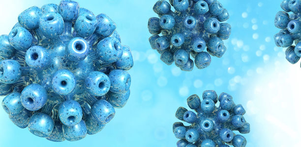 Bild zu Hepatitis C - Diagnose und Therapie – ein Update