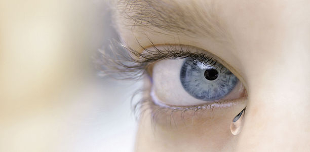 Bild zu Das tränende Auge - Oft helfen Schwarztee und „künstliche Tränen“