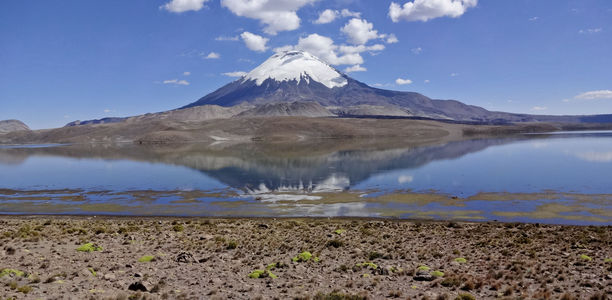 Bild zu Chiles Norden - Wo Lamas spucken und Vulkane schlafen
