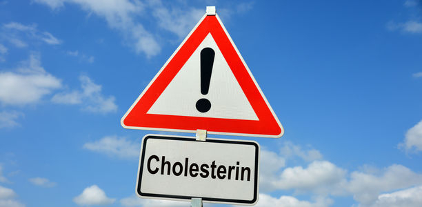 Bild zu Cholesterin - Pflanzenkraft gegen Cholesterin