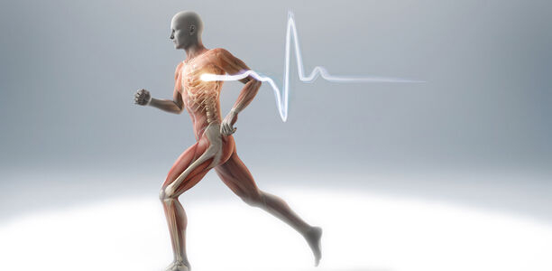 Bild zu Herzrhythmusstörungen - Für Leistungssportler besonders gefährlich?