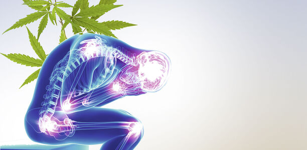 Bild zu Chronische Schmerzen - Wie und wann wirkt Cannabis?