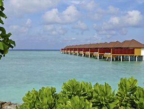 Bild zu Malediven - Einfach mal abtauchen 