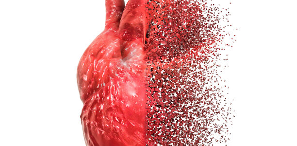 Bild zu Herzbericht - An Herzschwäche sterben vor allem Frauen