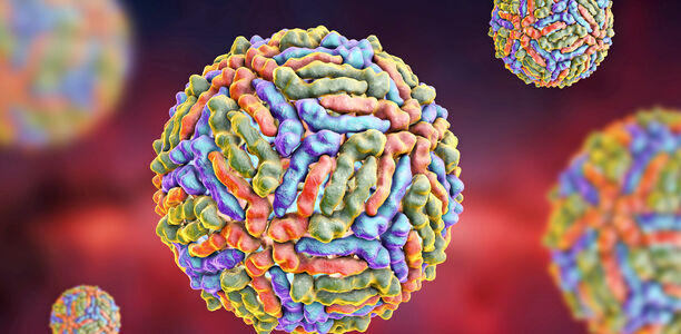 Bild zu Infektionen - Wieder Fälle von West-Nil-Fieber