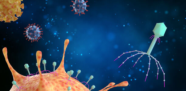 Bild zu Science - Phagen gegen MRSA-Bakterien