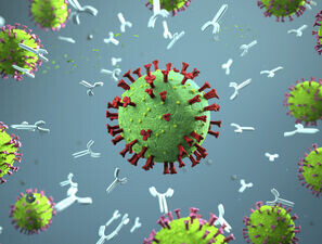 Bild zu COVID-19 - Antikörpertests: Was sagen sie aus?