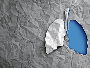 Bild zu Asthma und COPD - Wann ist eine Lufu indiziert?
